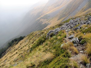 img_0818